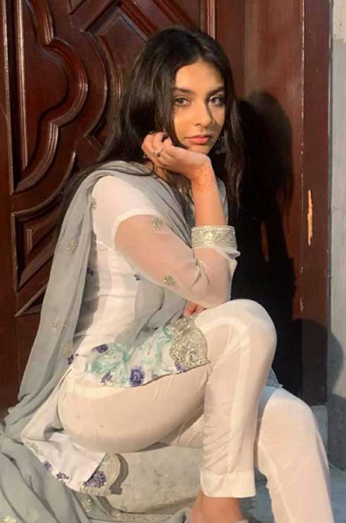 jalandhar best independent escort service rates